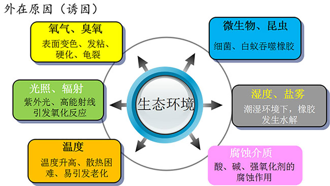 32-高分子材料老化外在誘因01—生態環境