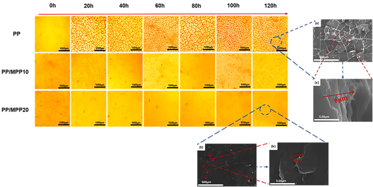 257-01-紫外光輻照過程中PP以及PPMPP表面裂紋變化